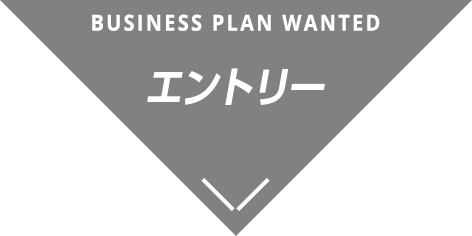 BUSINESS PLAN WANTED エントリー