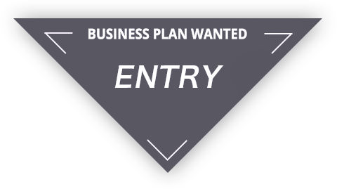 BUSINESS PLAN WANTED ENTRY