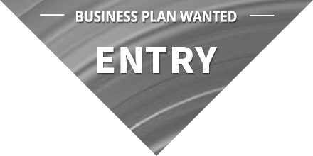 BUSINESS PLAN WANTED ENTRY