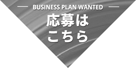 BUSINESS PLAN WANTED エントリー