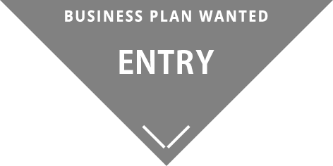 BUSINESS PLAN WANTED Entry