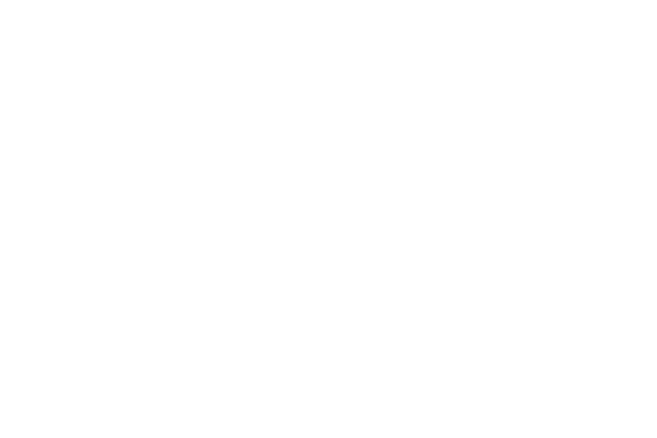 例会